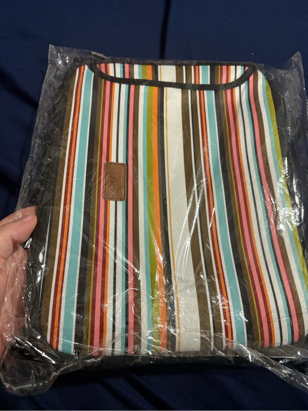 Striped Multicolor Home Accent Organizer Pouch